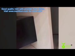 17E mini coffres-forts dissimulés pour armes à feu